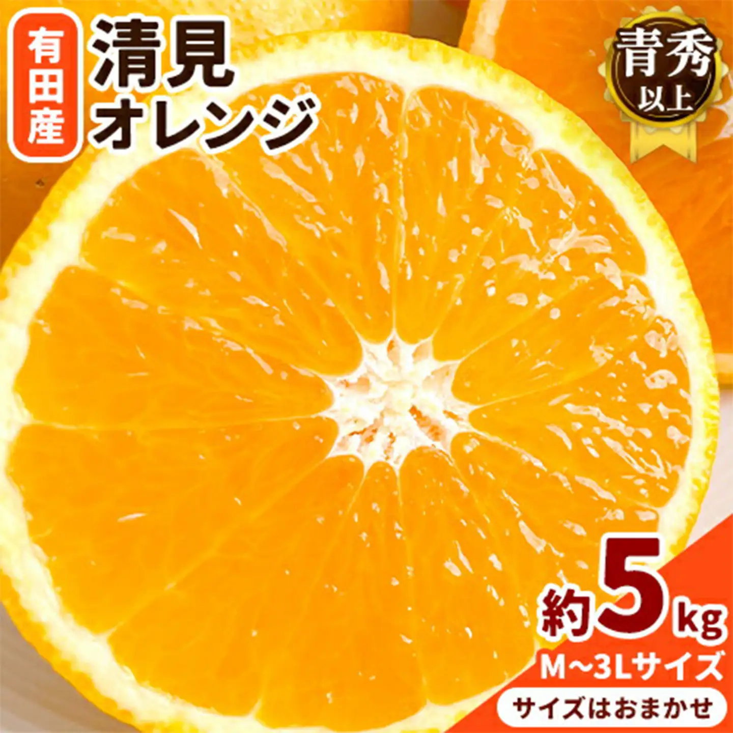 オレンジ 濃厚 清見オレンジ 約5kg