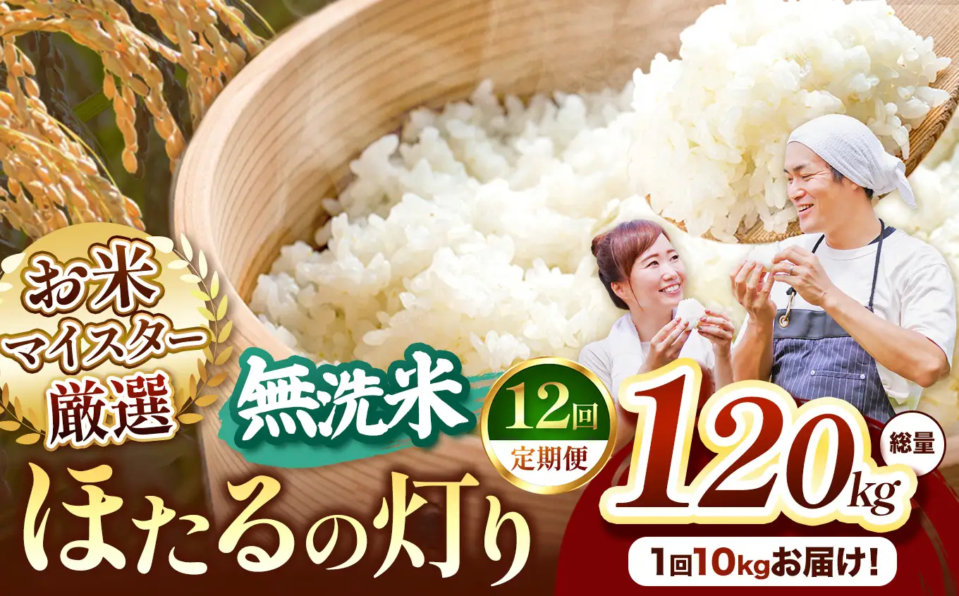 【定期便12回】熊本県産 無洗米 ほたるの灯り 10kg