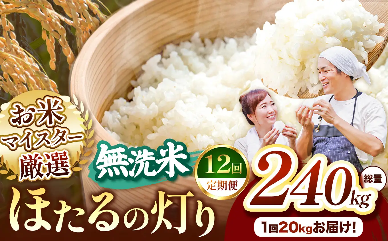 【定期便12回】熊本県産 無洗米 ほたるの灯り 20kg