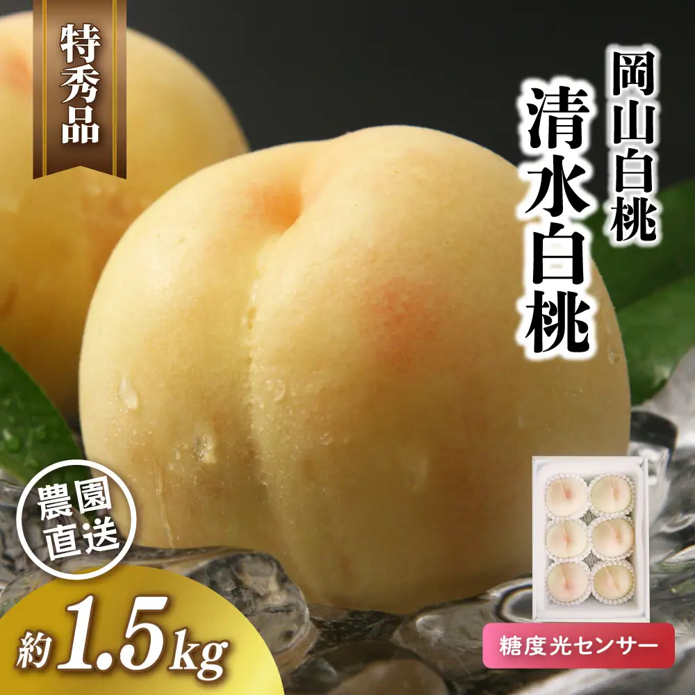 岡山白桃 清水白桃 特秀品 1.5kg前後 4-6玉 糖度センサー 糖度12度 momo46 【配送不可地域：北海道／沖縄県／離島】 【jujy073-01】