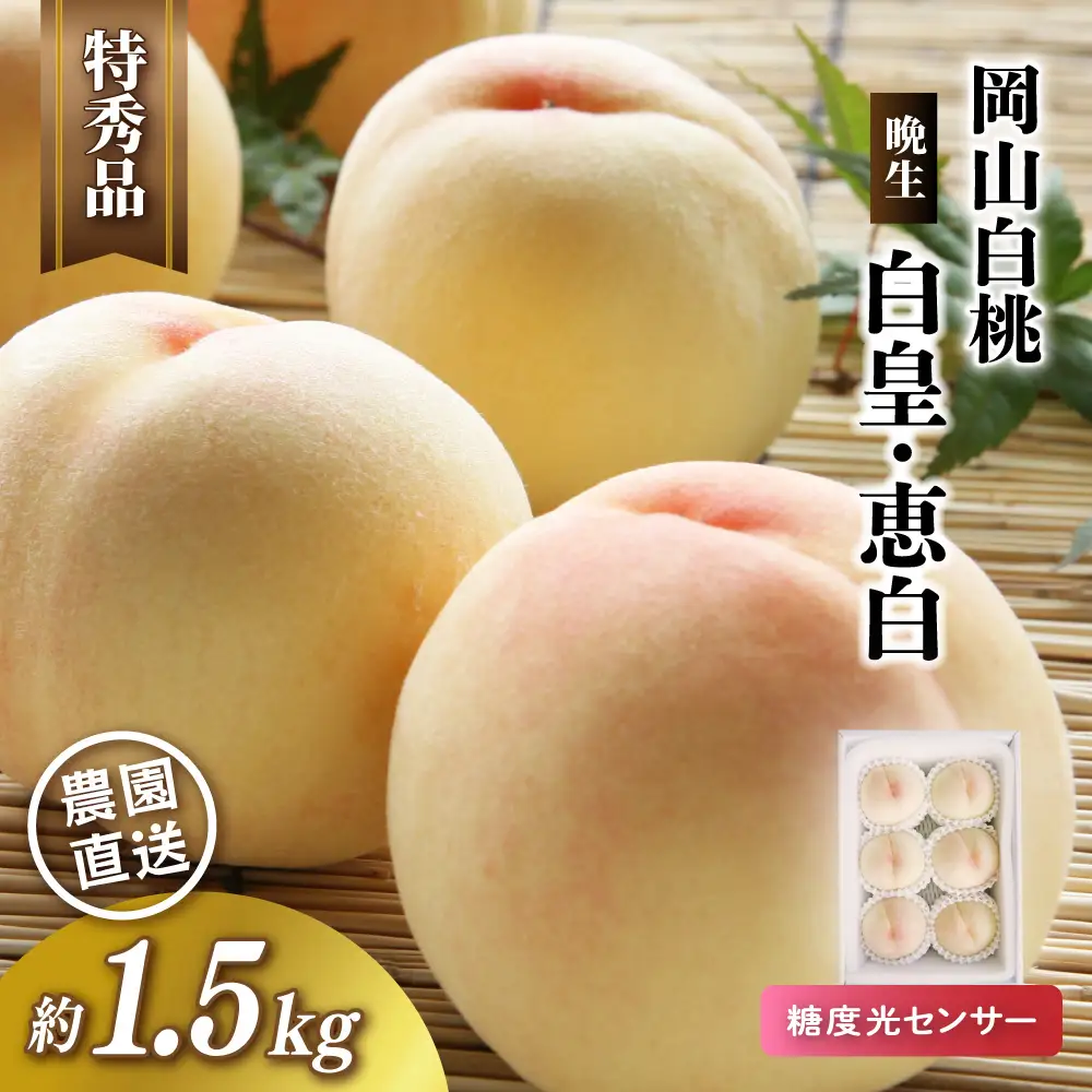 岡山白桃 白皇・恵白（晩生） 特秀品 1.5kg前後 momo65 【配送不可地域：北海道／沖縄県／離島】 【jujy074-01】