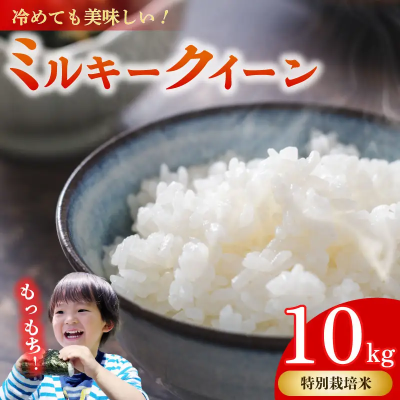 ミルキークイーン 10kg 【特別栽培米】牧之原市 静岡県 山本耕業