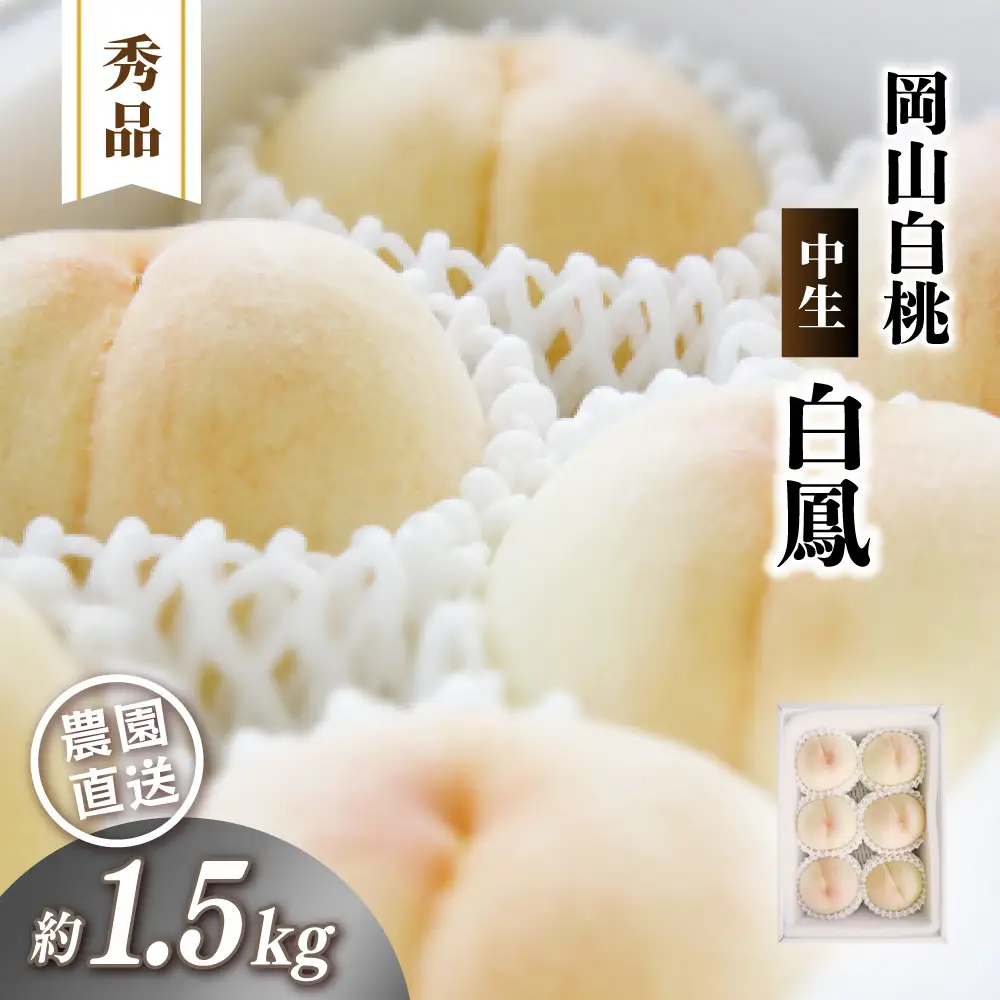 岡山白桃 （中生／白鳳） 秀品 1.5kg前後 4～6玉 momo01 【配送不可地域：北海道／沖縄県／離島】 【jujy078-01】