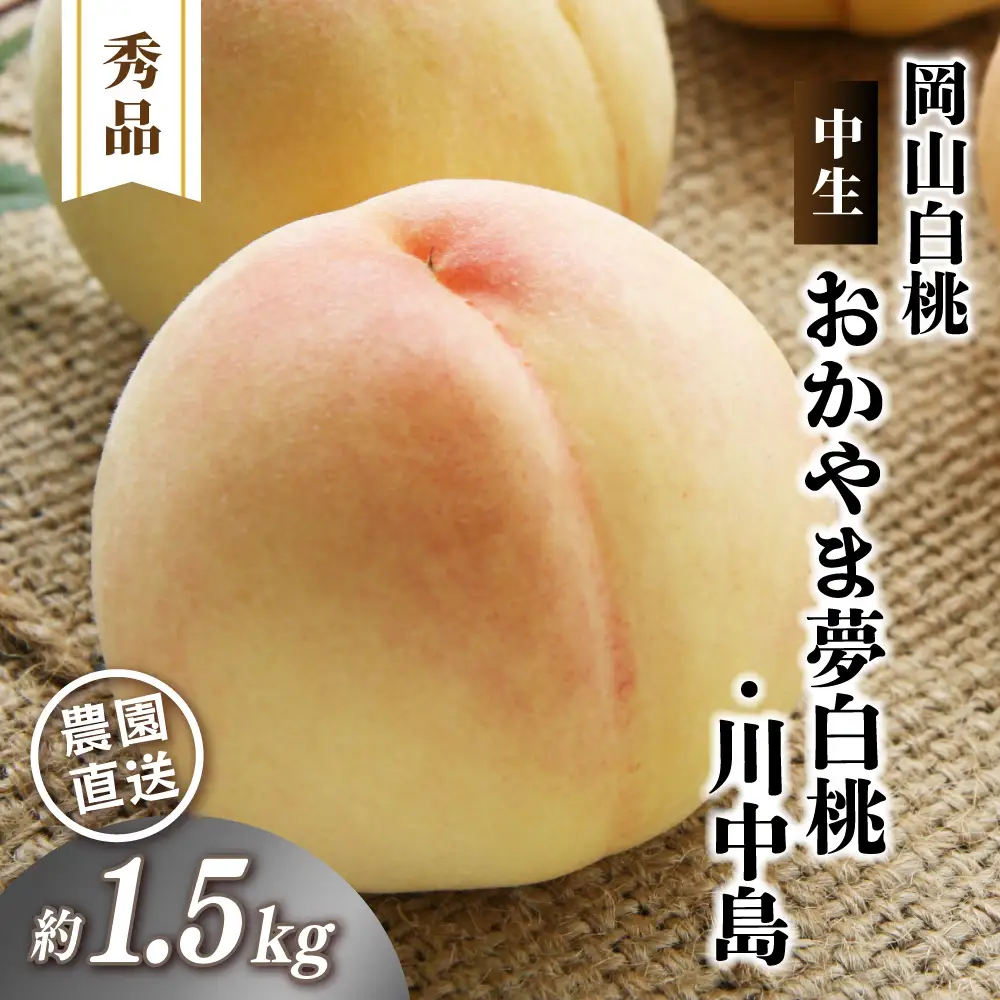 岡山白桃 （中生／おかやま夢白桃・川中島）秀品 1.5kg前後 4～6玉 momo44 【配送不可地域：北海道／沖縄県／離島】 【jujy080-01】