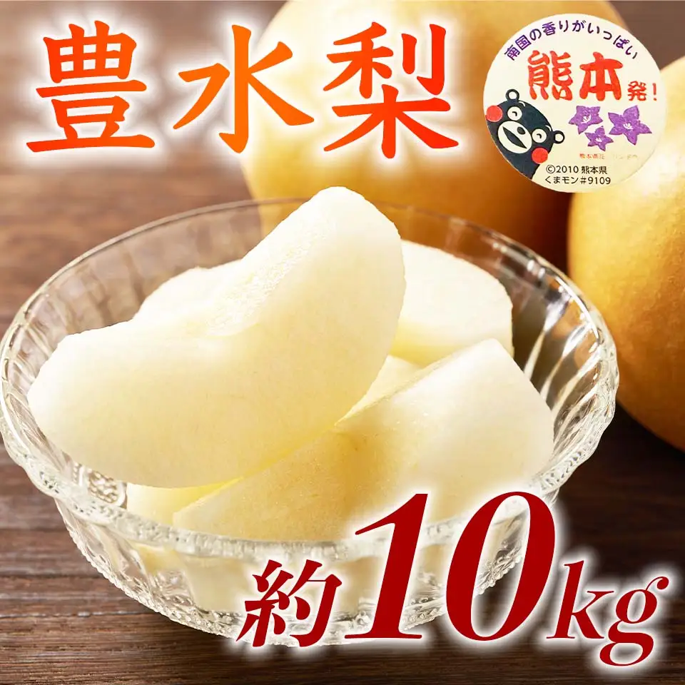 先行予約 豊水梨 約10㎏ (12～36玉)【2026年8月上旬～2026年8月下旬発送予定】