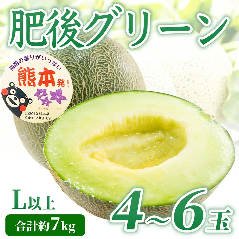 肥後グリーンメロン 約7kg（L以上）【2026年5月上旬～2026年7月下旬配送予定】