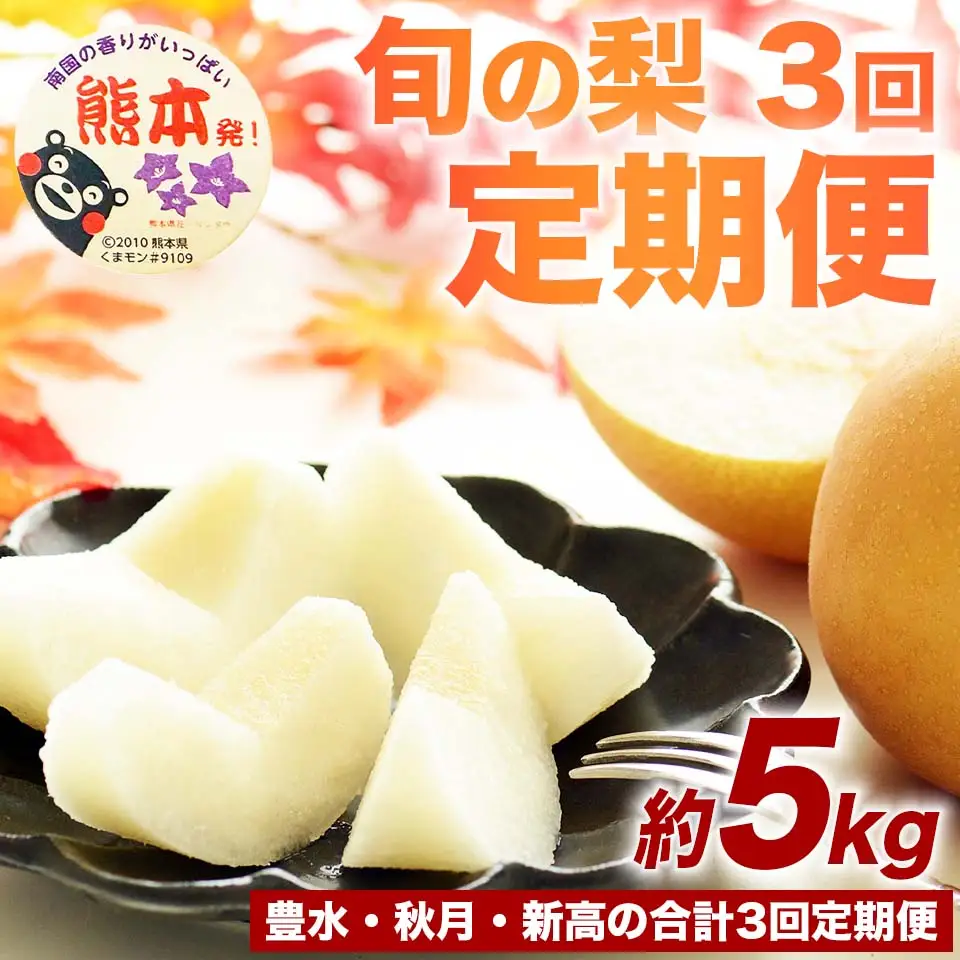 先行予約　定期便3回  梨  豊水 秋月 新高 約5kg （6～18玉）×3回【2026年8月上旬～2026年10月上旬配送予定】
