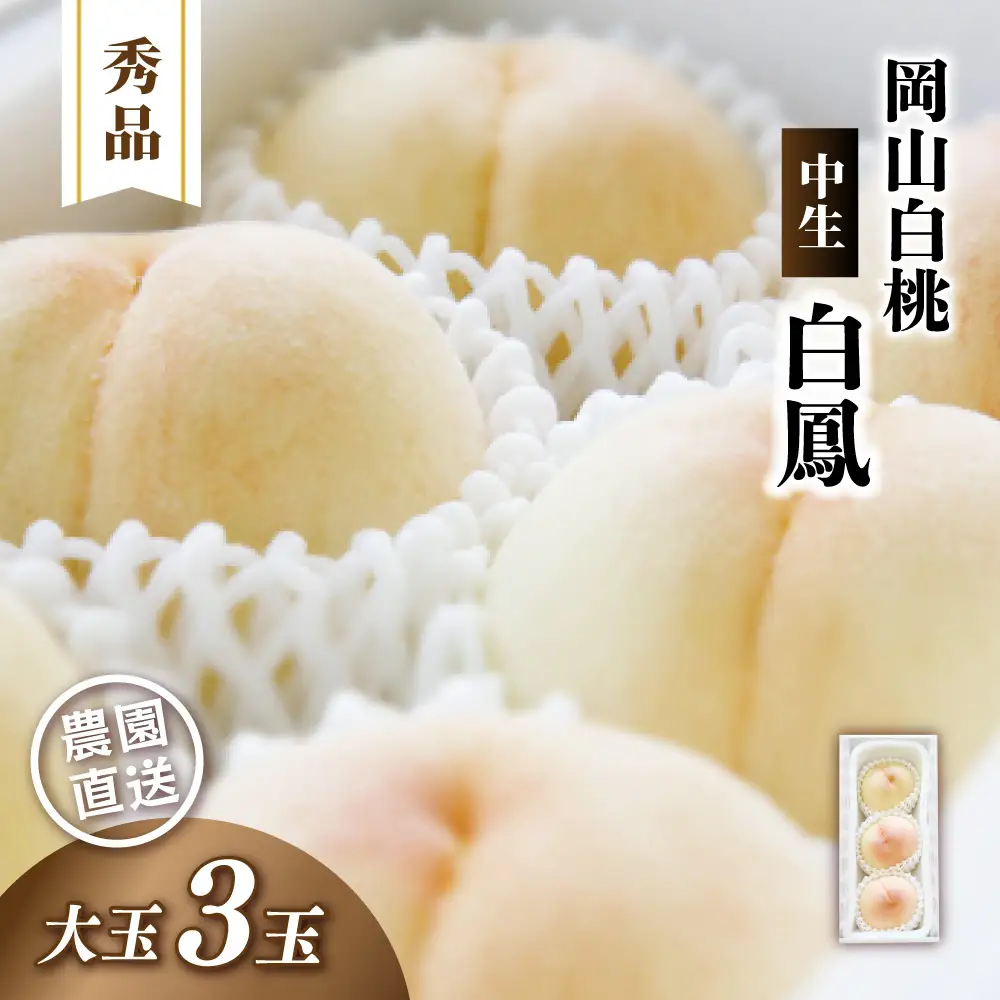 岡山白桃 白鳳 秀品 大玉3玉 momo30 【配送不可地域：北海道／沖縄県／離島】 【jujy081-01】