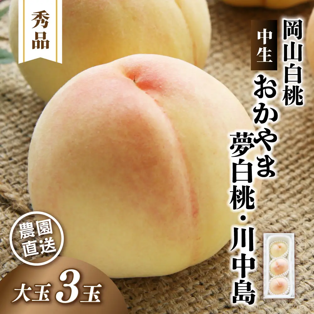 岡山白桃 おかやま夢白桃・川中島 秀品 大玉3玉 momo48 【配送不可地域：北海道／沖縄県／離島】 【jujy083-01】
