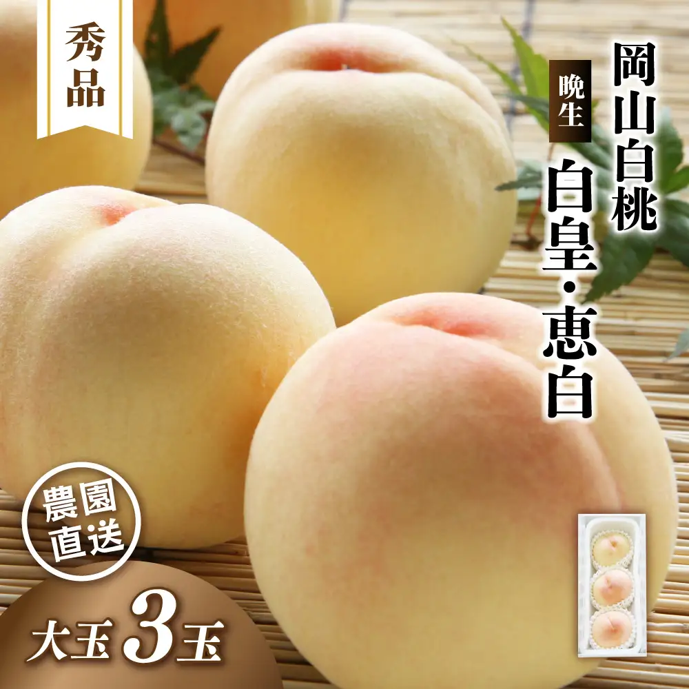 岡山白桃 （晩生／白皇・恵白） 秀品 大玉3玉 momo66 【配送不可地域：北海道／沖縄県／離島】 【jujy084-01】