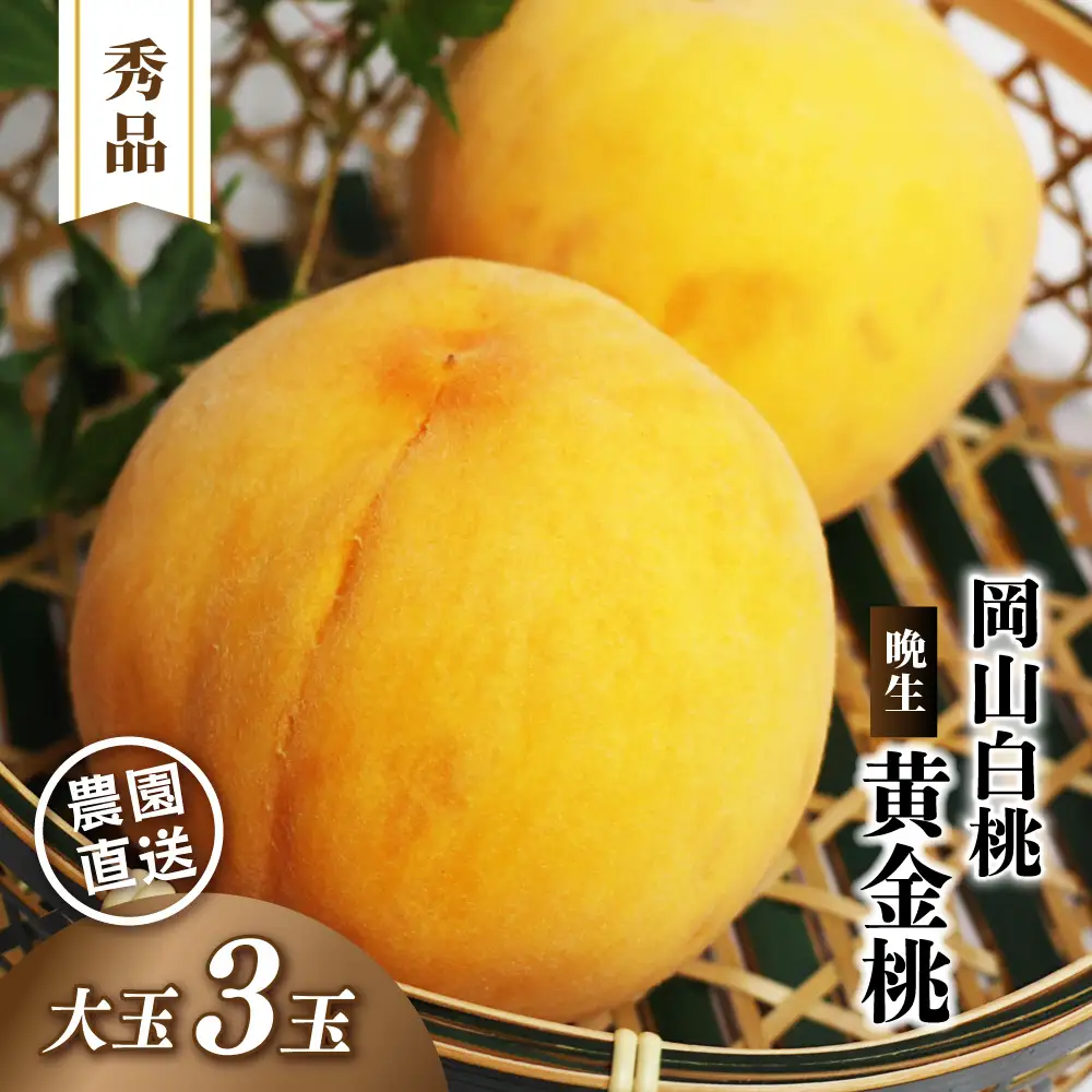 岡山白桃 （晩生／黄金桃） 秀品 大玉3玉 momo69 【配送不可地域：北海道／沖縄県／離島】 【jujy085-01】