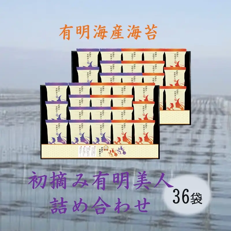 有明海産海苔 初摘み有明美人詰合せ(36袋)【B6-031】