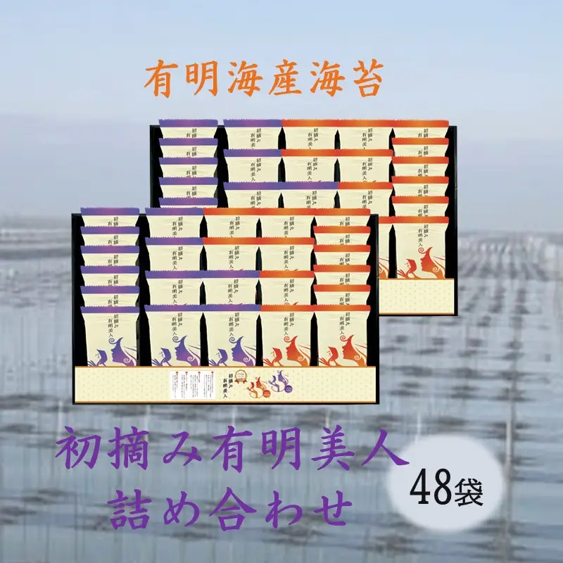 有明海産海苔 初摘み有明美人詰合せ(48袋)【C2-022】