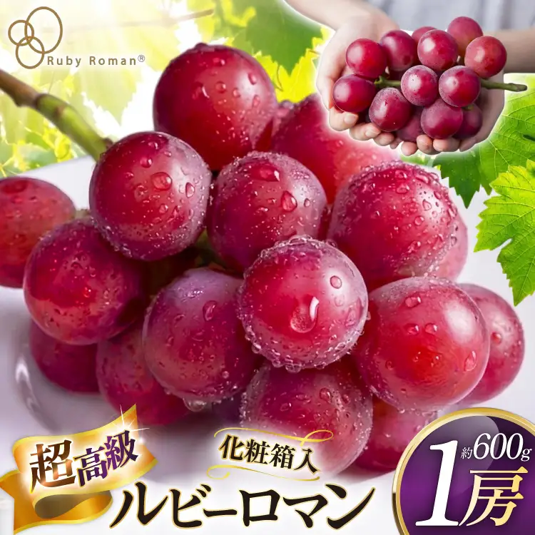 【期間限定発送】 超高級 ぶどう ルビーロマン 1房 約600g 化粧箱入 [モアショップヤマモト 石川県 宝達志水町 38601393]
