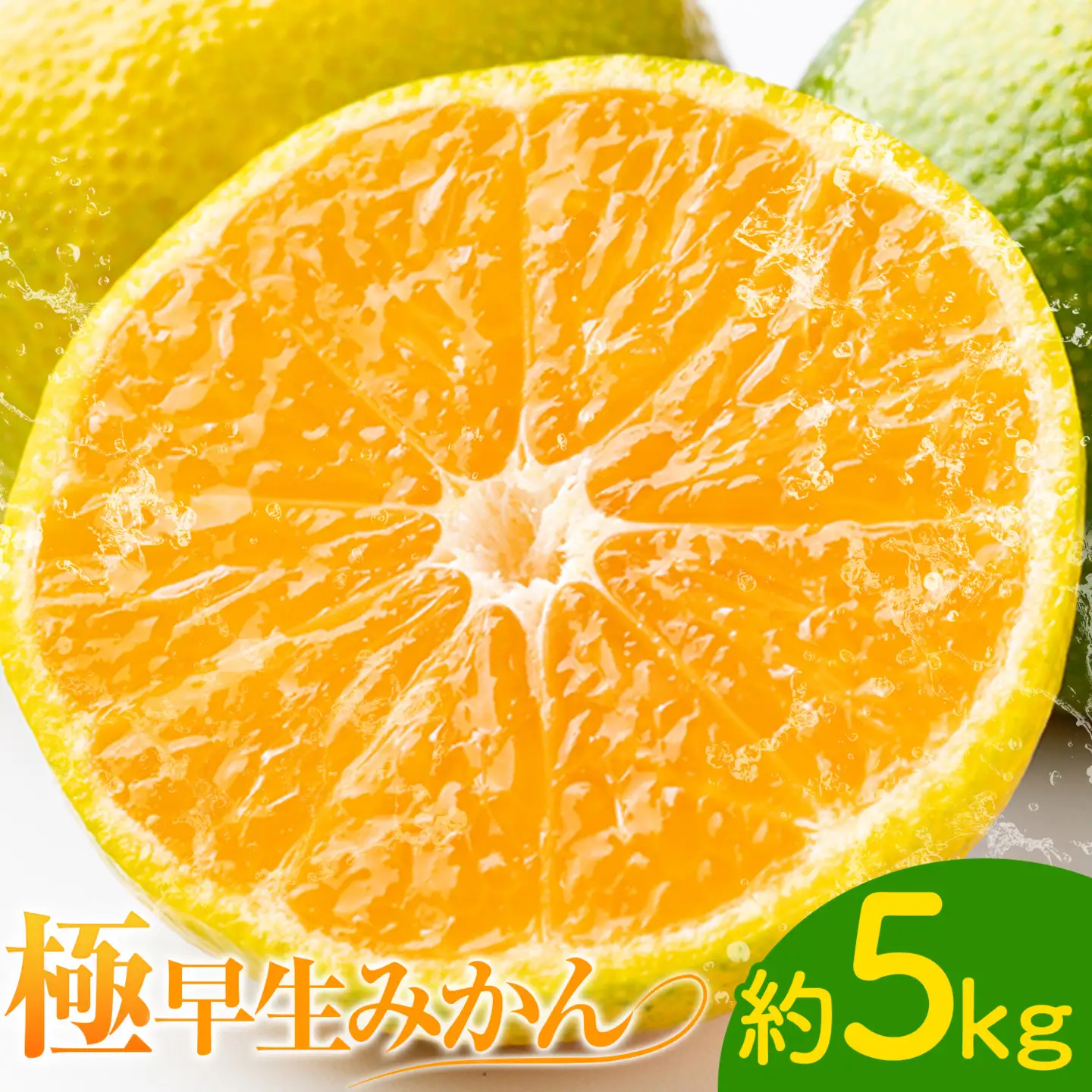 極早生みかん 5kg 高橋商店《9月下旬-10月中旬頃出荷》