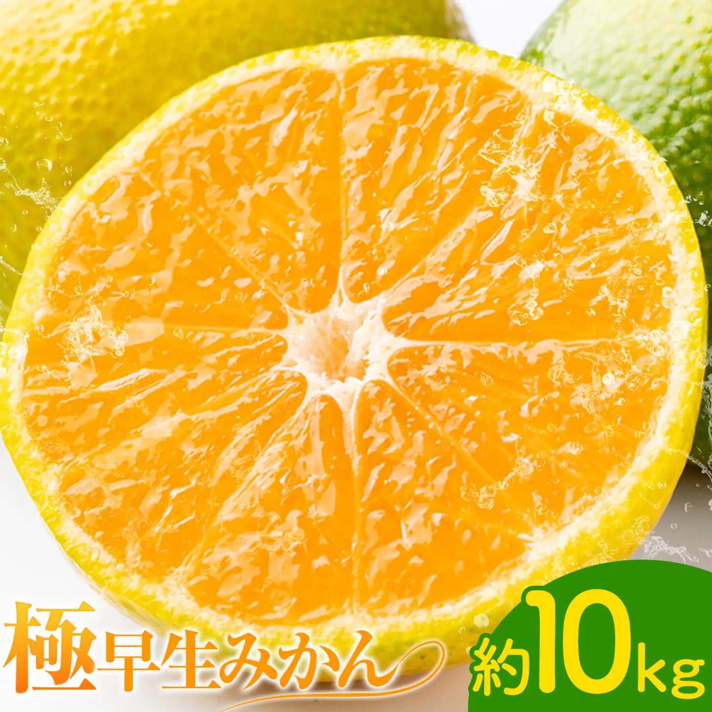極早生みかん10kg 高橋商店《9月下旬-10月中旬頃出荷》 | 熊本県苓北町