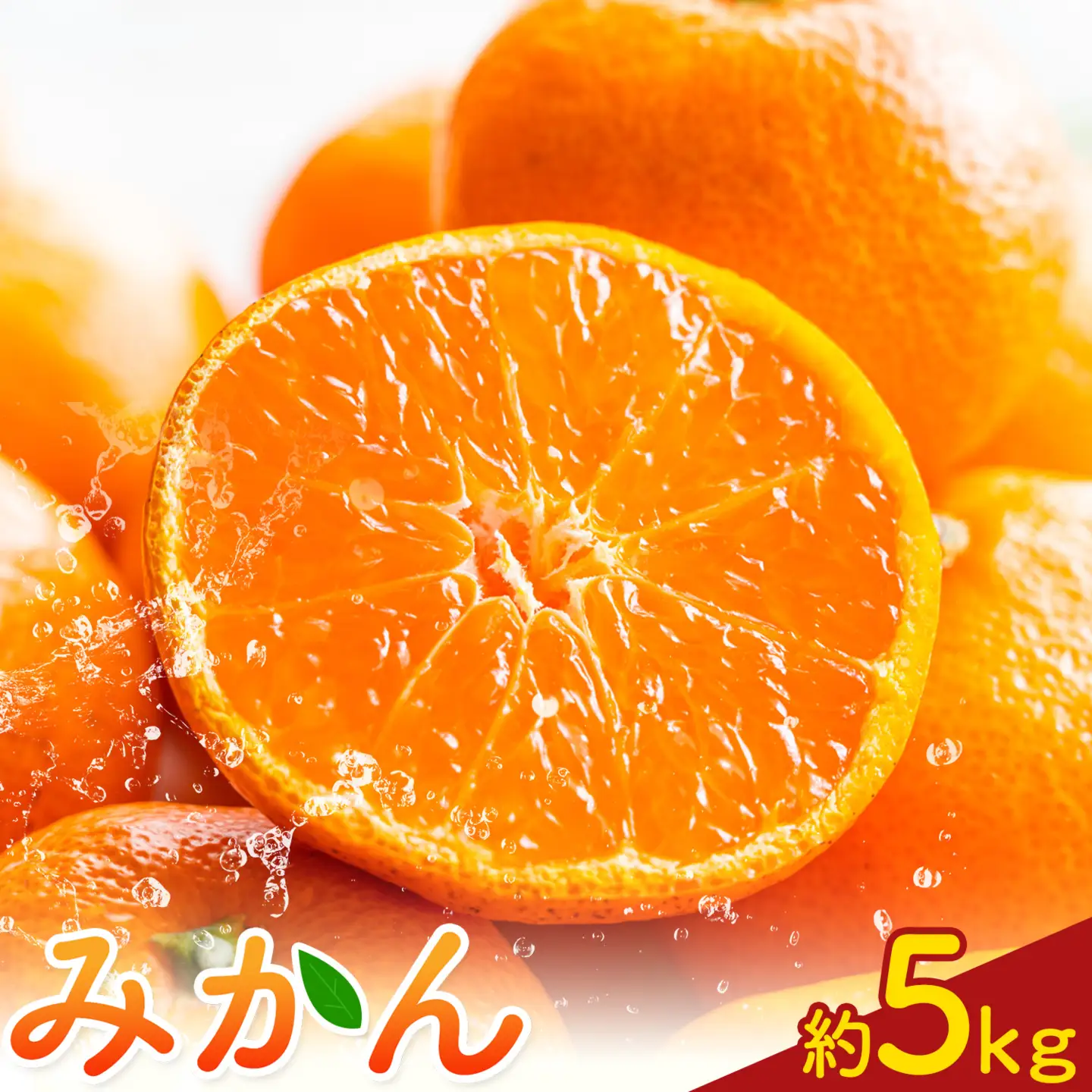 みかん5kg 高橋商店《10月下旬-1月中旬頃出荷》
