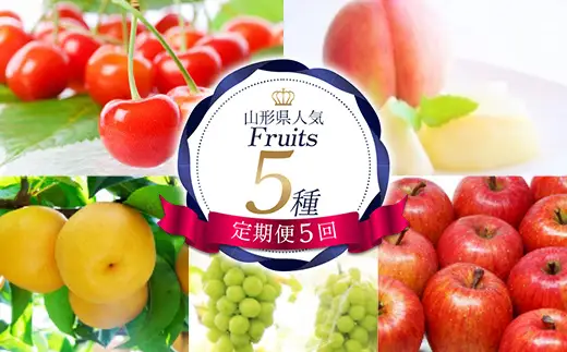 【定期便5回】山形県人気Fruits5種 FSY-2728