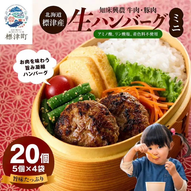 生ハンバーグミニ 20個セット(5個×4パック) ハンバーグ