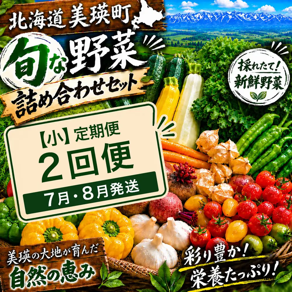 季節の野菜セット【小】定期便 2回便 7月 8月発送 旬野菜 詰め合わせ あらいふぁーむ