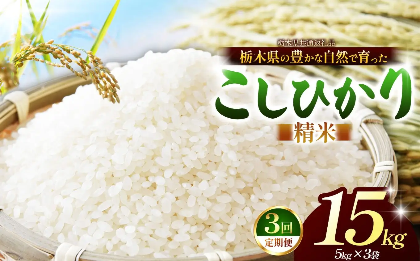 【栃木県共通返礼品】【定期3回】【令和８年度産】コシヒカリ 15kg お米  米 | 栃木県 那珂川町 送料無料