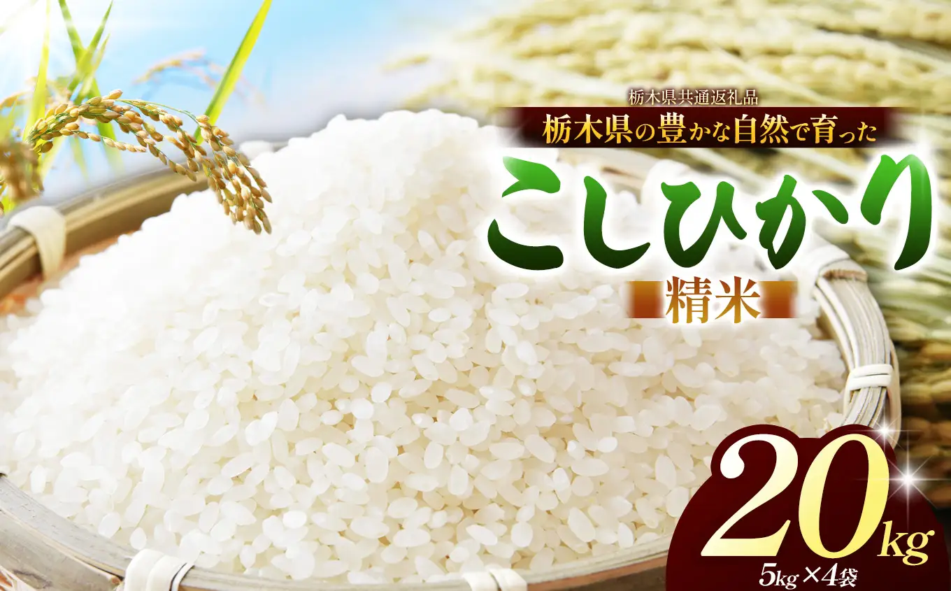 栃木県共通返礼品】【令和8年度産】コシヒカリ 20kg お米 米 | 栃木県