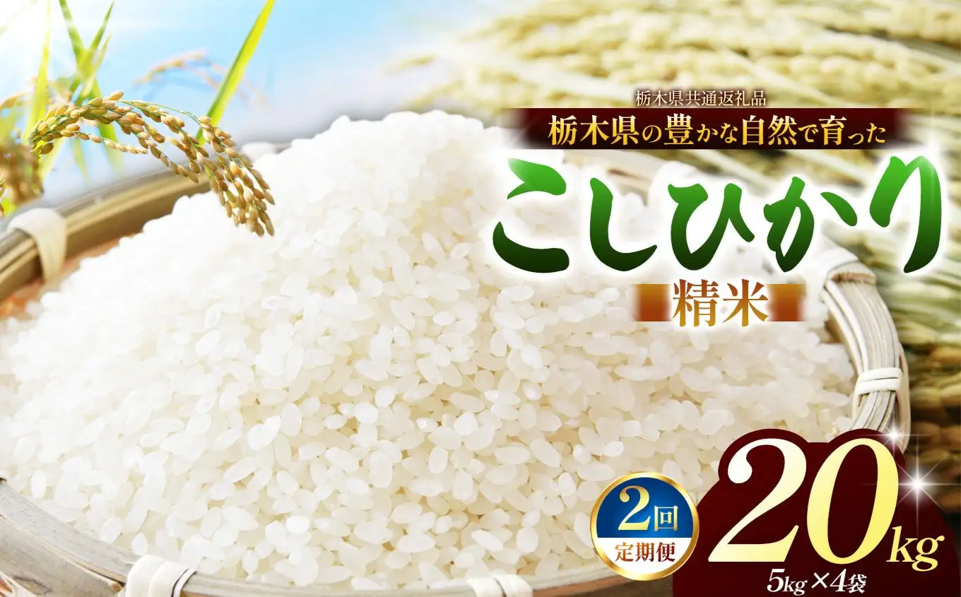 【栃木県共通返礼品】【定期2回】【令和８年度産】コシヒカリ 15kg お米  米 | 栃木県 那珂川町 送料無料