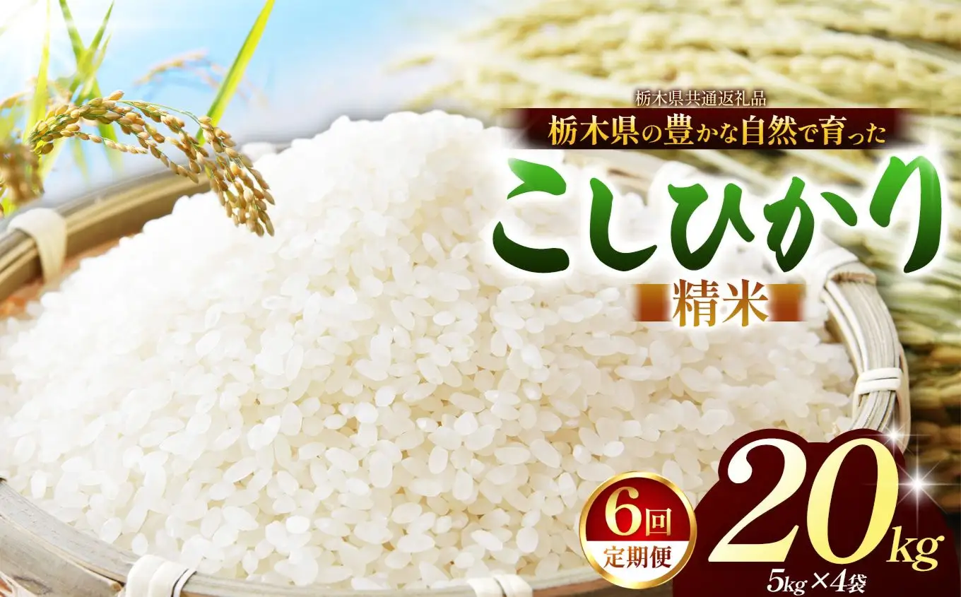【栃木県共通返礼品】【定期6回】【令和８年度産】コシヒカリ 20kg お米  米 | 栃木県 那珂川町 送料無料