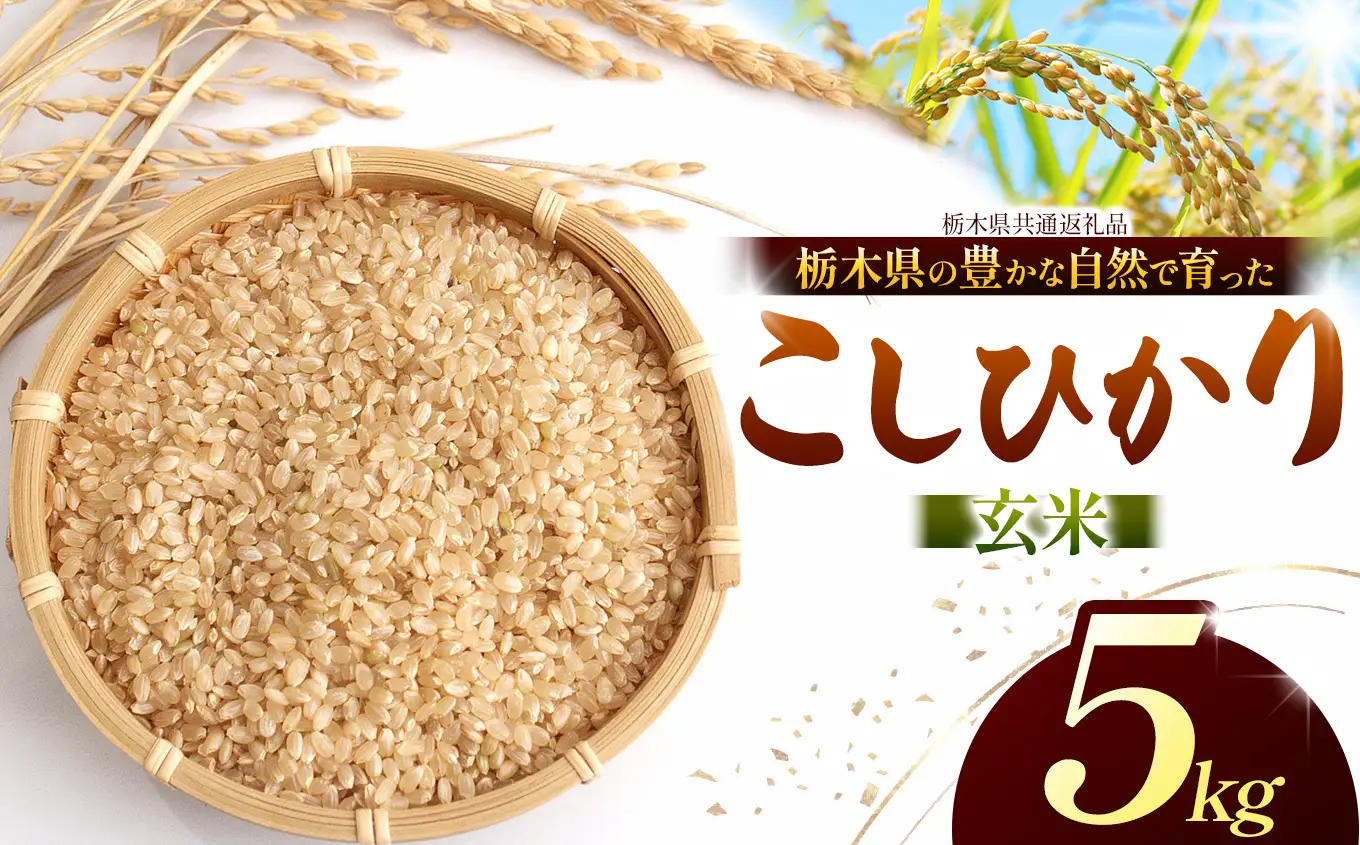 【栃木県共通返礼品】【令和８年度産】コシヒカリ 5kg お米  米 | 栃木県 那珂川町 送料無料