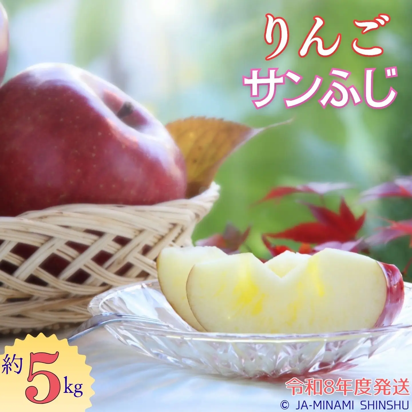 J14　【令和8年度発送】サンふじ　約5kg