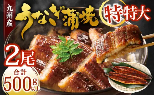 九州産 うなぎ蒲焼 特特大2尾 (1尾あたり250～266g) 合計500g以上【2026年7月発送】