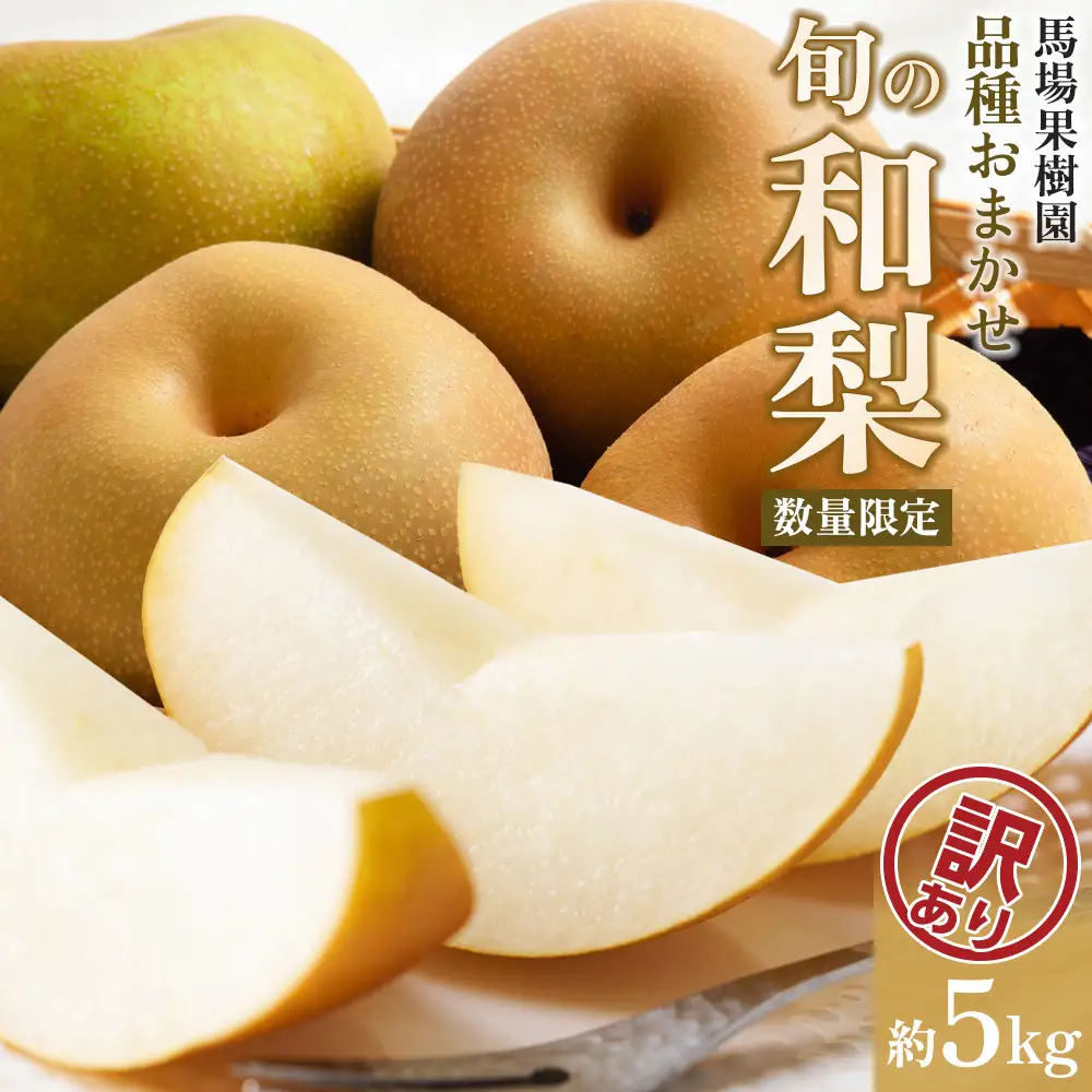 【2026年先行予約／訳あり】【馬場果樹園】品種おまかせ 旬の和梨 約5kg 8月中旬～順次発送