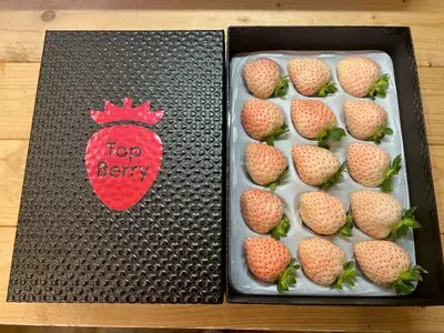 コットンベリー 化粧箱 350g 3～4月発送分　inn14