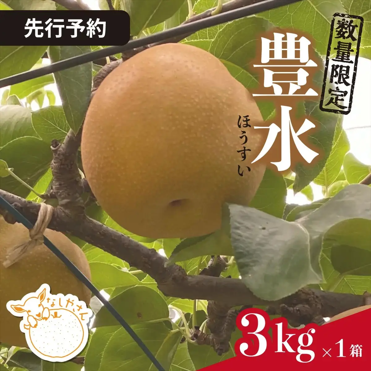 梨 豊水 約3kg(5～7個入り) 先行予約 | 梨 豊水 埼玉県 東松山市