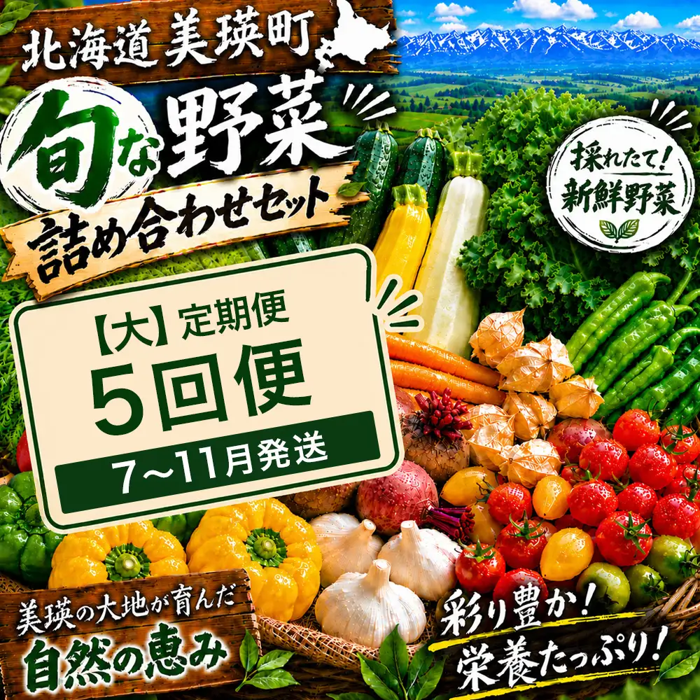 季節の野菜セット【大】定期便 5回便 7月 8月 9月 10月 11月発送 旬野菜 詰め合わせ あらいふぁーむ