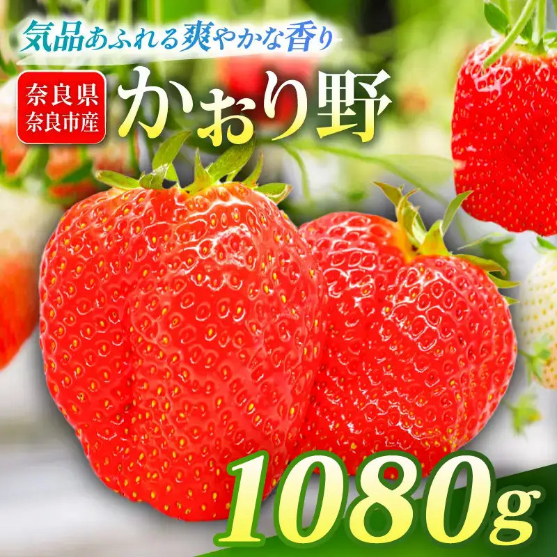 【2027年1月～発送予定】いちご かおり野 約270g×4パック drm006