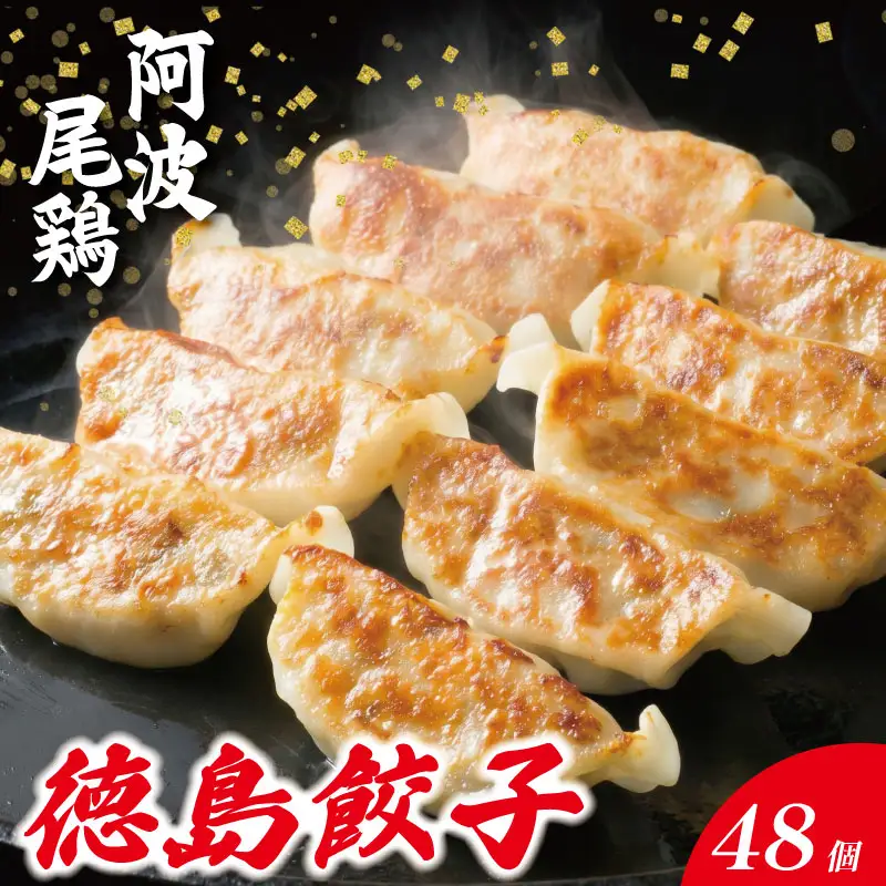 餃子 阿波尾鶏 48個 餃子