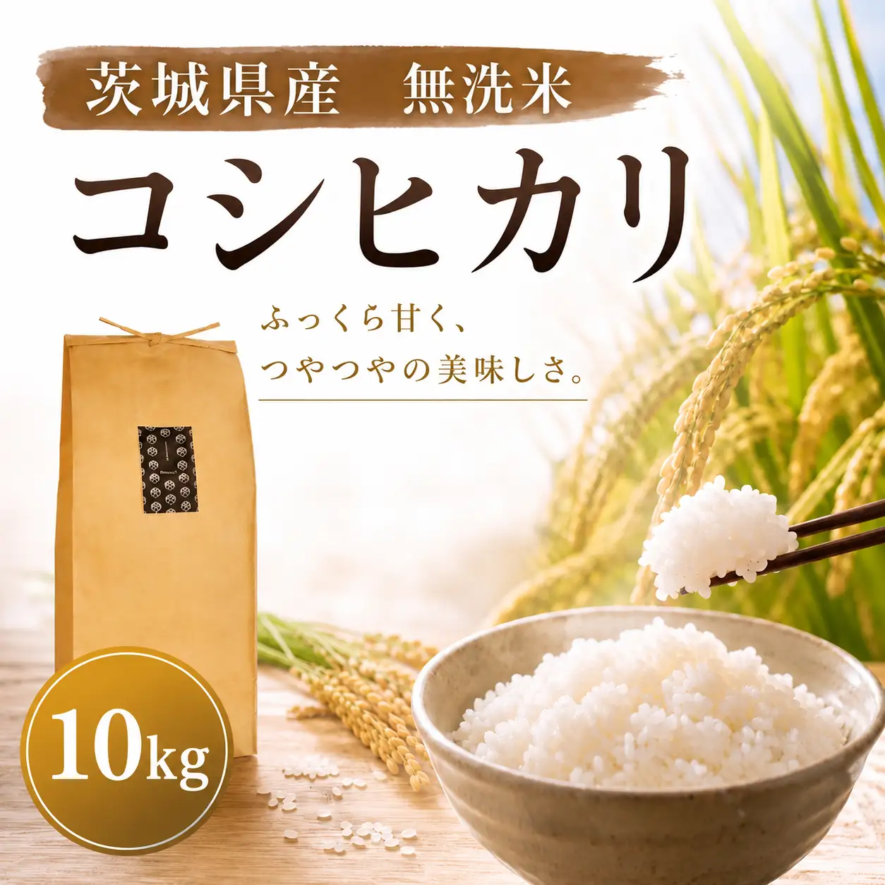 《無洗米》【コシヒカリ】無洗米 10kg 令和7年産 数量限定