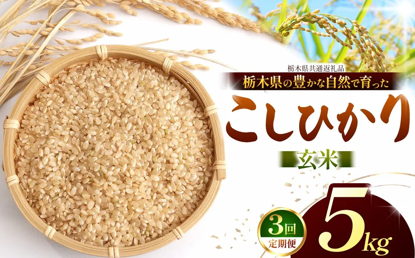 栃木県共通返礼品】【定期3回】【令和8年度産】コシヒカリ 5kg お米