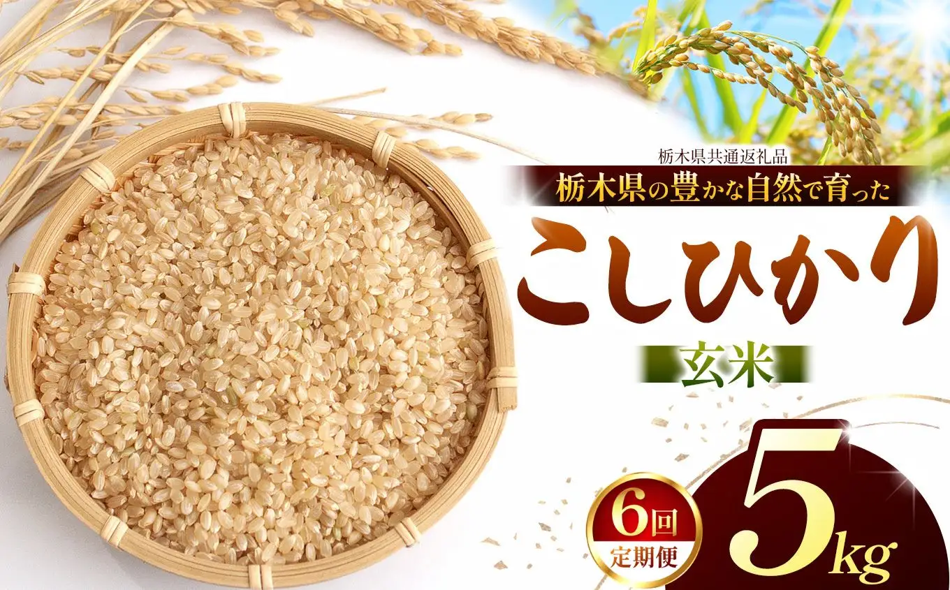 【栃木県共通返礼品】【定期6回】【令和８年度産】コシヒカリ 5kg お米  米 | 栃木県 那珂川町 送料無料