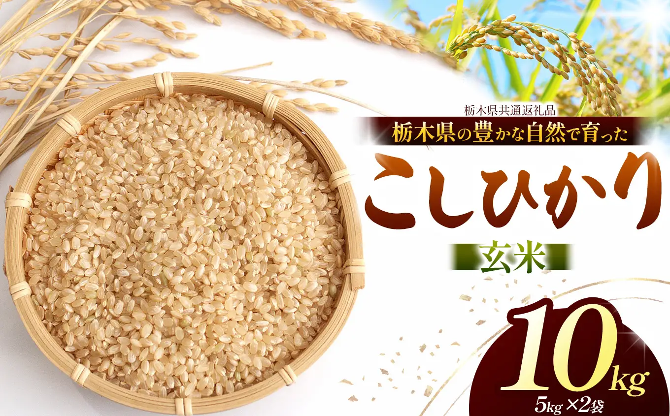 【栃木県共通返礼品】【令和８年度産】コシヒカリ 10kg お米 米 | 栃木県 那珂川町 送料無料