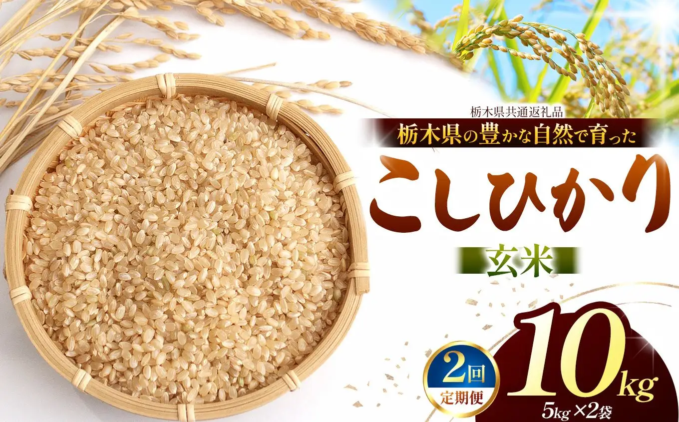 【栃木県共通返礼品】【定期2回】【令和８年度産】コシヒカリ 10kg お米 米 | 栃木県 那珂川町 送料無料