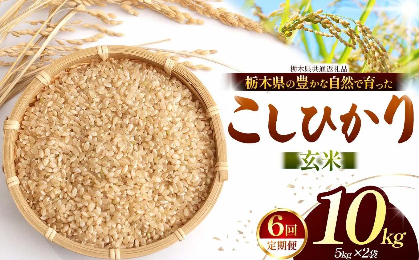 【栃木県共通返礼品】【定期６回】【令和８年度産】コシヒカリ 10kg お米 米 | 栃木県 那珂川町 送料無料