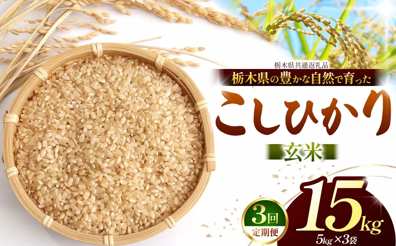 【栃木県共通返礼品】【定期３回】【令和８年度産】コシヒカリ 15kg お米 米 | 栃木県 那珂川町 送料無料