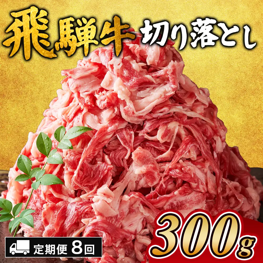 【8ヵ月定期便】飛騨牛切り落とし 300g ｜国産 和牛 牛肉