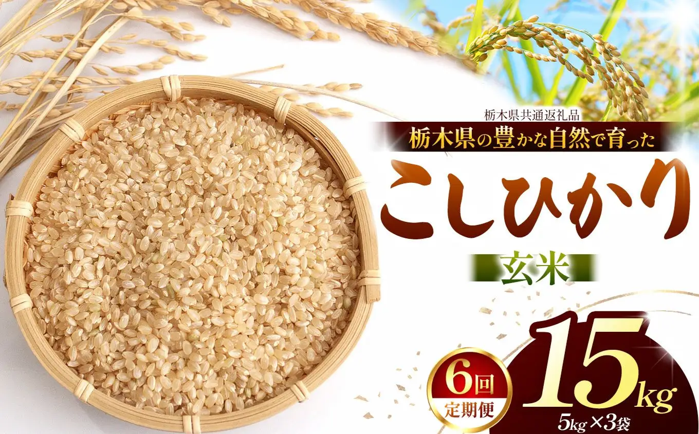 【栃木県共通返礼品】【定期６回】【令和８年度産】コシヒカリ 15kg お米 米 | 栃木県 那珂川町 送料無料
