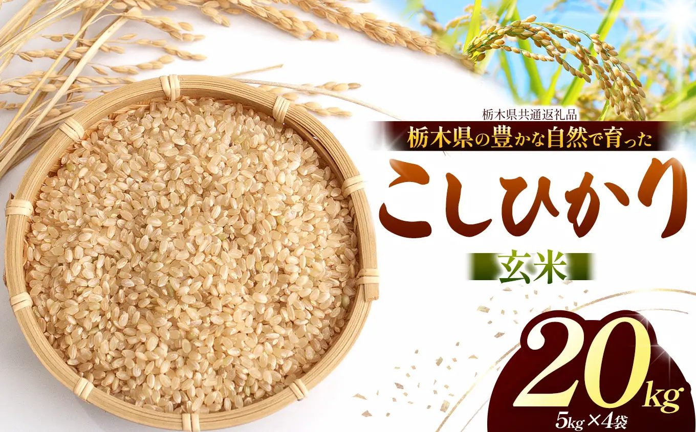 【栃木県共通返礼品】【令和８年度産】コシヒカリ 20kg お米 米 | 栃木県 那珂川町 送料無料