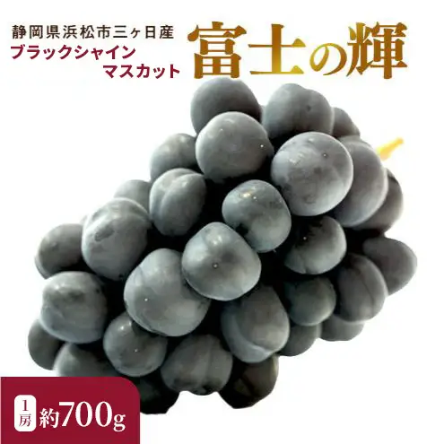【期間限定】【静岡県浜松市三ヶ日産】高平農園のブラックシャインマスカット「富士の輝」1房（約700g）化粧箱入り ぶどう 夏 大粒 ブドウ 贈答 ギフト 静岡 浜松市【配送不可：離島】