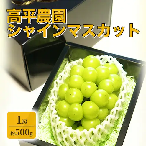 【期間限定】高平農園のシャインマスカット 1房（約500g）美味しい ぶどう 美味しい フルーツ 果物 静岡 浜松市【配送不可：離島】