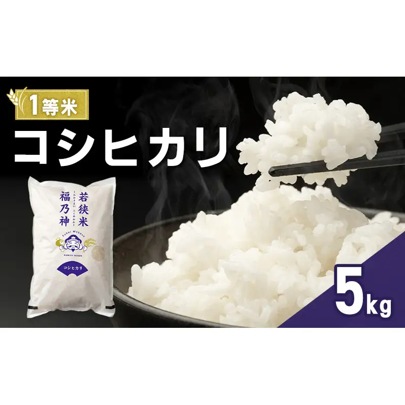 令和7年産 コシヒカリ 5kg（一等米・神谷農園） 米 お米 こしひかり 若狭町